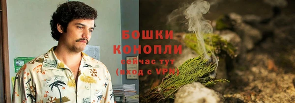 ешки Бронницы