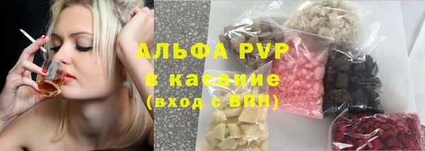 гидра Бородино