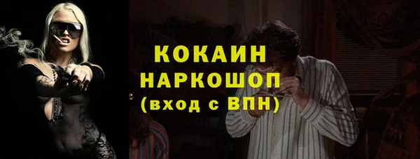 ешки Бронницы