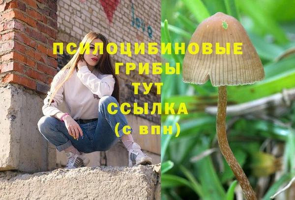 гидра Бородино