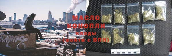 гидра Бородино