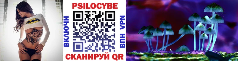 Псилоцибиновые грибы ЛСД Лодейное Поле